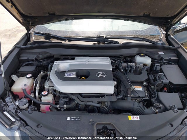Lexus UX 250H 2019 JTHU9JBH8K2001628 Image 10