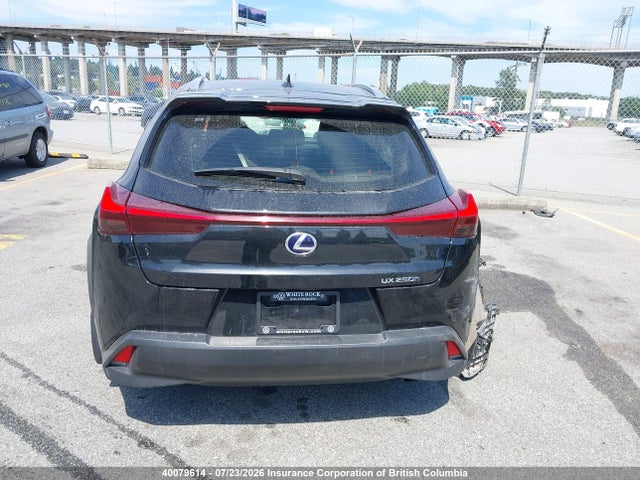 Lexus UX 250H 2019 JTHU9JBH8K2001628 Image 17