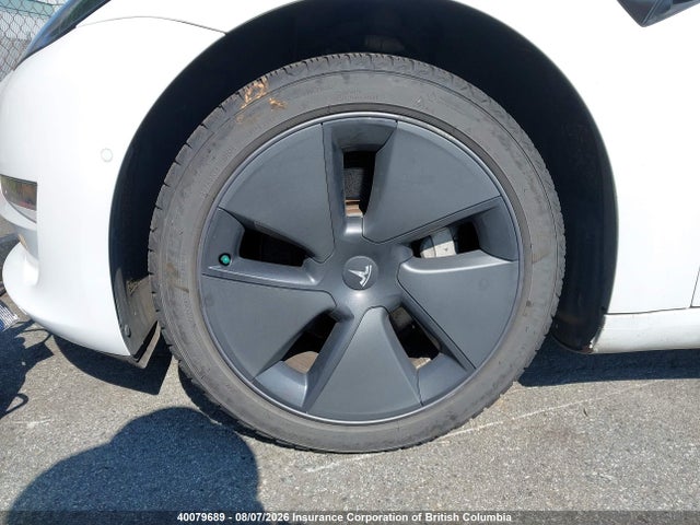 Tesla MODEL 3 2021 5YJ3E1EA6MF094186 Image 19