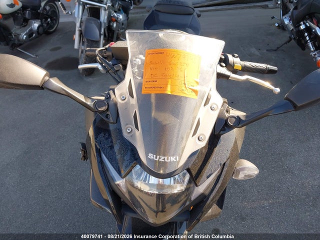Suzuki GSX250R 2018 LC6DN11A9J1102761 Image 12