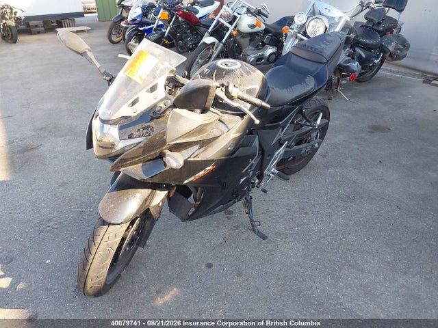 Suzuki GSX250R 2018 LC6DN11A9J1102761 Image 2