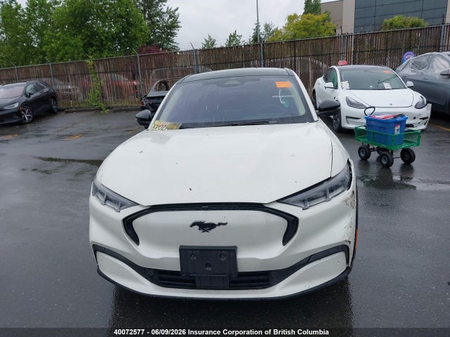 Продажа на аукционе авто 2023 Ford Mustang Mach-e Premium, vin: 3FMTK3SU3PMA28029, номер лота: 40072577