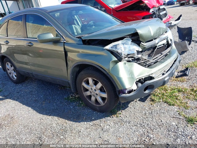 2008 Honda Cr-v Exl მანქანა იყიდება აუქციონზე, vin: 5J6RE487X8L818857, აუქციონის ნომერი: 40077678