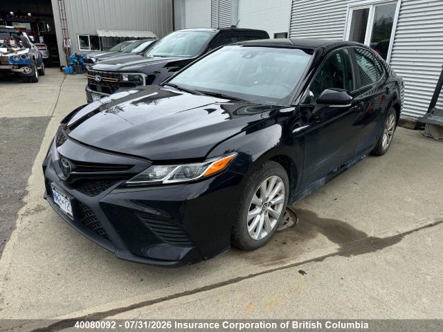 Toyota Camry 2019 4T1B11HK4KU808523 Image 2