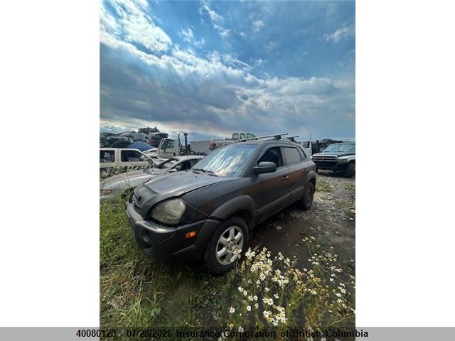Продажа на аукционе авто 2005 Hyundai Tucson Gl, vin: KM8JM12D75U053496, номер лота: 40080120