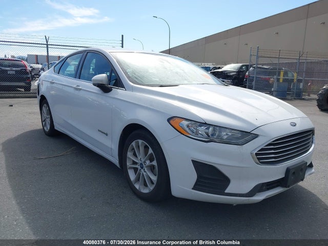 2019 3FA6P0LU5KR145984 главное изображение