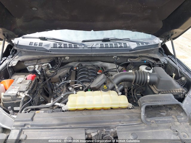 Aukcja sprzedaży 2020 Ford F150, vin: 1FTFW1E56LFB49419, numer aukcji: 40080532