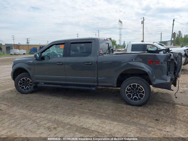 Aukcja sprzedaży 2020 Ford F150, vin: 1FTFW1E56LFB49419, numer aukcji: 40080532