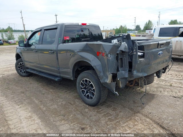 Aukcja sprzedaży 2020 Ford F150, vin: 1FTFW1E56LFB49419, numer aukcji: 40080532
