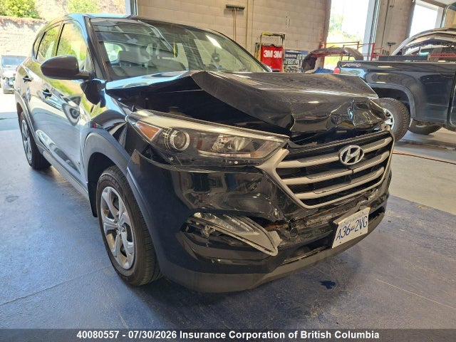 Hyundai TUCSON SE 2017 KM8J2CA41HU521441 главное изображение