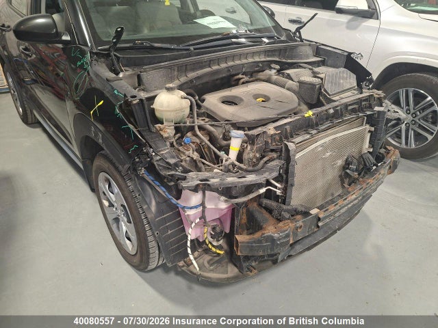Hyundai TUCSON SE 2017 KM8J2CA41HU521441 Image 12