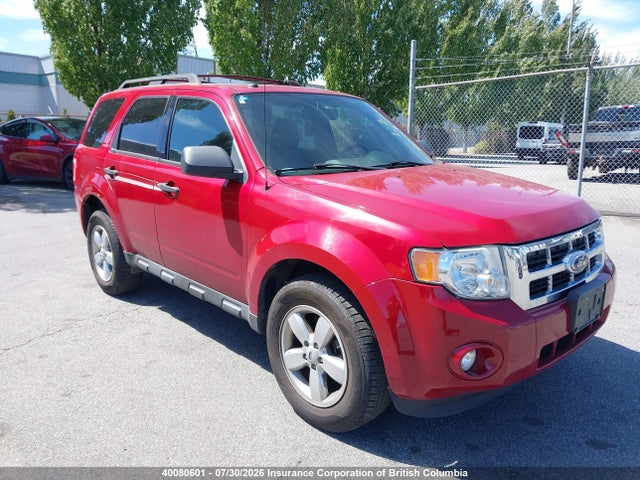 Продажа на аукционе авто 2010 Ford Escape Xlt, vin: 1FMCU9DG3AKA91800, номер лота: 40080601