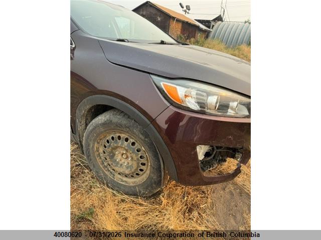 KIA SORENTO EX 2016 5XYPHDA10GG055252 Image 9