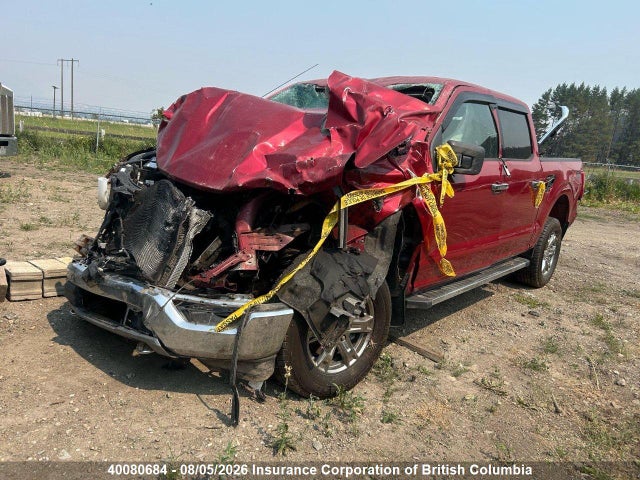 Продажа на аукционе авто 2021 Ford F150, vin: 1FTFW1E54MFA01514, номер лота: 40080684