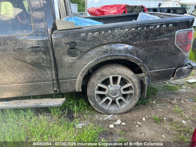 40080694 :رقم المزاد ، 1FTFW1EV2AFC99170 vin ، 2010 Ford F150 مزاد بيع