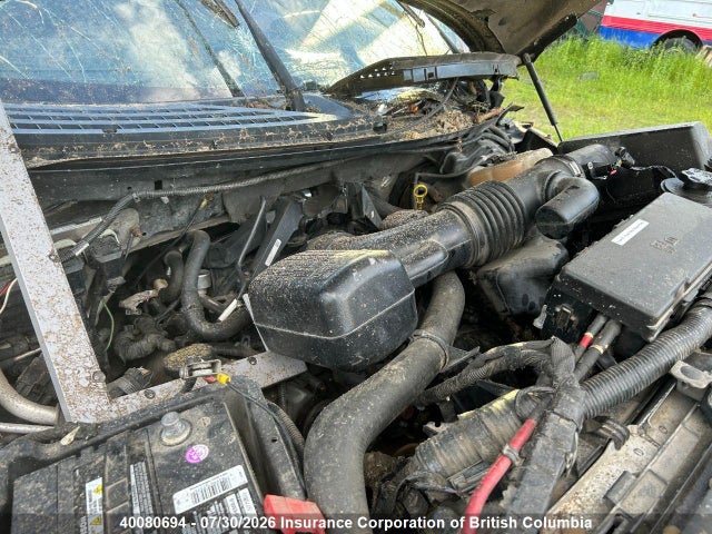40080694 :رقم المزاد ، 1FTFW1EV2AFC99170 vin ، 2010 Ford F150 مزاد بيع