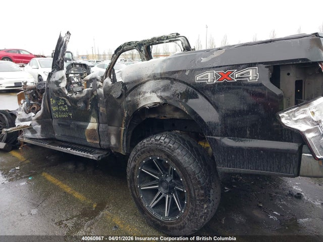 Ford F150 Supercrew 2019 1FTEW1EP5KKD66947 Image 15
