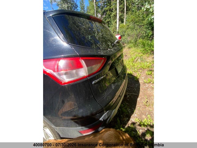 Auction sale of the 2013 Ford Escape Se, vin: 1FMCU9G98DUB34100, lot number: 40080700