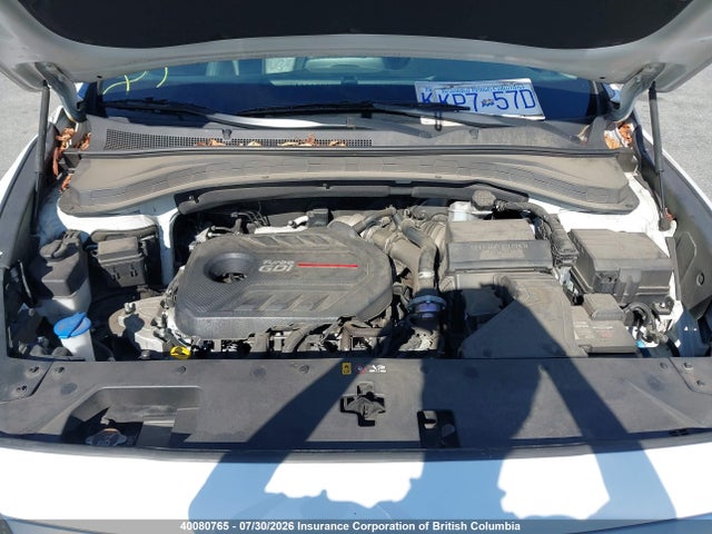 Hyundai Santa Fe Sel/sel Plus 2020 5NMS3CAA3LH145658 Image 10