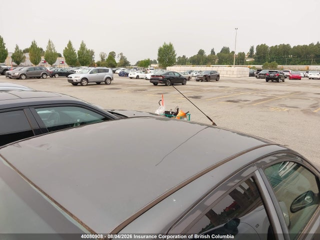 40080908 :رقم المزاد ، 1FAFP34N37W354685 vin ، 2007 Ford Focus مزاد بيع