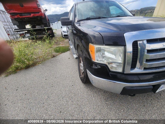 40080939 :رقم المزاد ، 1FTRW148X9FA07088 vin ، 2009 Ford F150 مزاد بيع