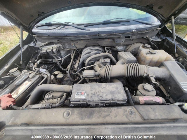 40080939 :رقم المزاد ، 1FTRW148X9FA07088 vin ، 2009 Ford F150 مزاد بيع