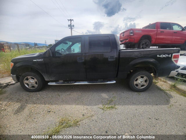 40080939 :رقم المزاد ، 1FTRW148X9FA07088 vin ، 2009 Ford F150 مزاد بيع