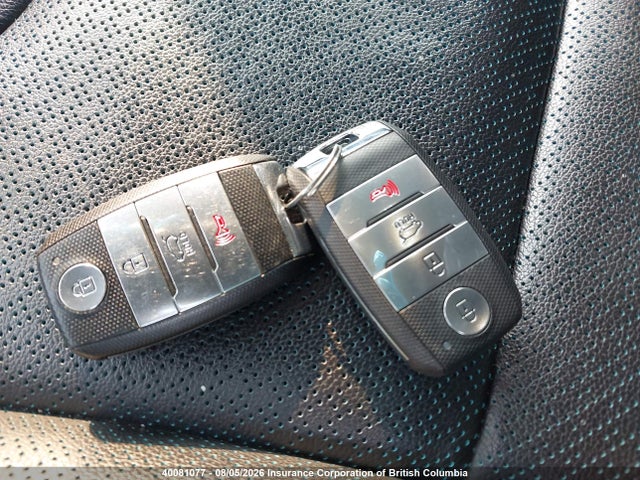 Auction sale of the 2020 Kia Niro, vin: KNDCE3LG8L5053528, lot number: 40081077