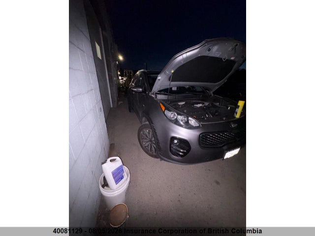2018 KNDPNCAC7J7313534 главное изображение