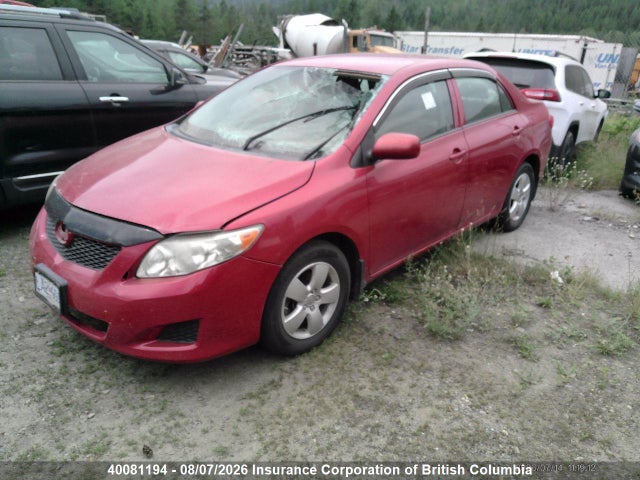 40081194 :رقم المزاد ، 2T1BU40E89C008401 vin ، 2009 Toyota Corolla S/le/xle مزاد بيع