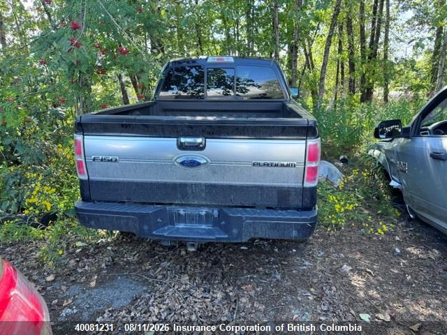 Продаж на аукціоні авто 2012 Ford F150, vin: 1FTFW1ET3CFB89696, номер лоту: 40081231