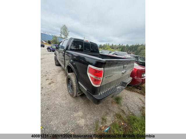 Продаж на аукціоні авто 2012 Ford F150, vin: 1FTFW1ET3CFB89696, номер лоту: 40081231