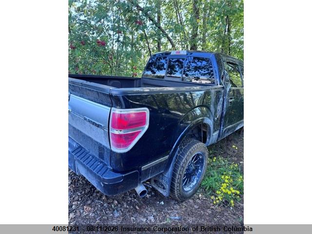 40081231 :رقم المزاد ، 1FTFW1ET3CFB89696 vin ، 2012 Ford F150 مزاد بيع