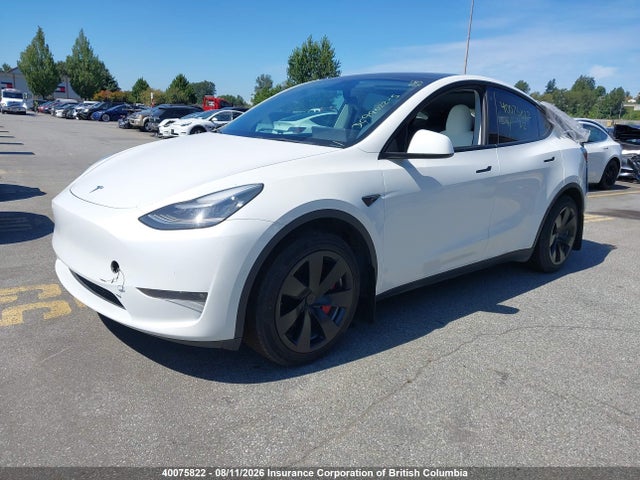 Auction sale of the 2021 Tesla Model Y, vin: 5YJYGDED1MF132466, lot number: 40075822