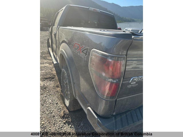 40081402 :رقم المزاد ، 1FTFW1ET3DKF23556 vin ، 2013 Ford F150 مزاد بيع