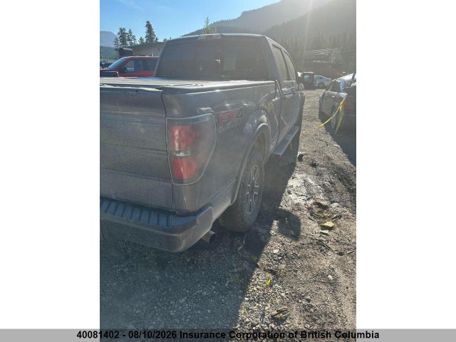 40081402 :رقم المزاد ، 1FTFW1ET3DKF23556 vin ، 2013 Ford F150 مزاد بيع