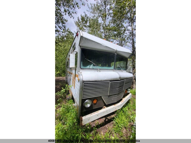 Продаж на аукціоні авто 1973 Winnebago Brave, vin: R39CG3S160994, номер лоту: 40081495