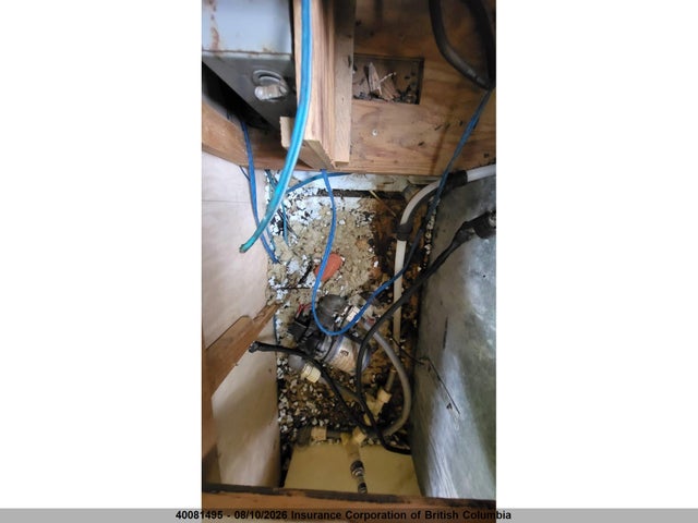 Продаж на аукціоні авто 1973 Winnebago Brave, vin: R39CG3S160994, номер лоту: 40081495