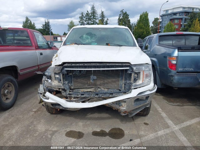 Ford F150 2019 1FTFW1E53KKD20844 Image 11