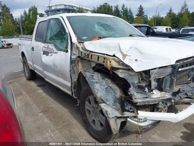 Ford F150 2019 1FTFW1E53KKD20844 Image 12