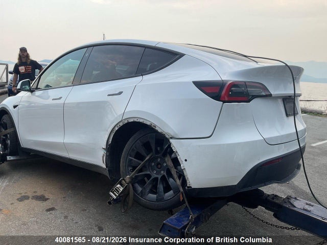 Tesla Model Y 2021 5YJYGDEE6MF061659 Image 3