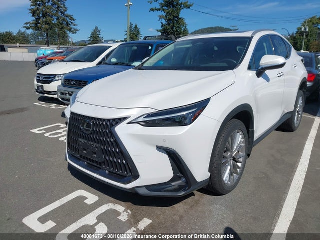 40081673 :رقم المزاد ، 2T2GGCEZ2NC002926 vin ، 2022 Lexus Nx 350 مزاد بيع