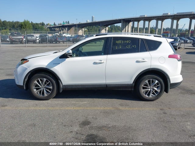 JTMRJREV0GD036321 Toyota RAV4