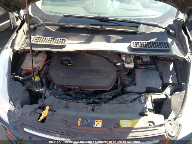 40081877 :رقم المزاد ، 1FMCU0GX4DUA75976 vin ، 2013 Ford Escape Se مزاد بيع