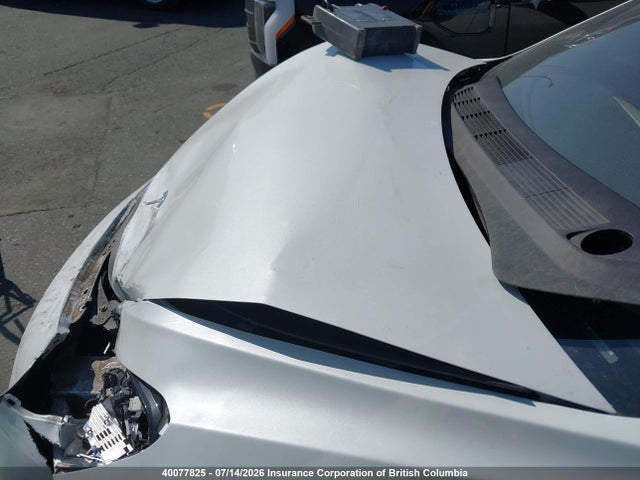 40077825 :رقم المزاد ، 5YJ3E1EA7KF321902 vin ، 2019 Tesla Model 3 مزاد بيع