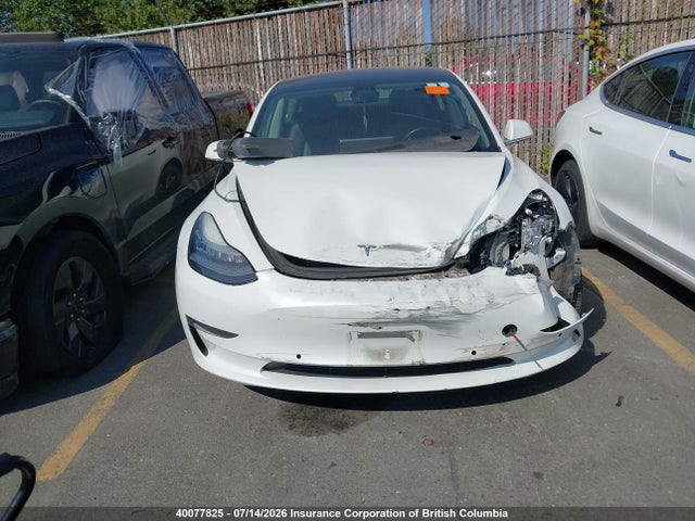 40077825 :رقم المزاد ، 5YJ3E1EA7KF321902 vin ، 2019 Tesla Model 3 مزاد بيع