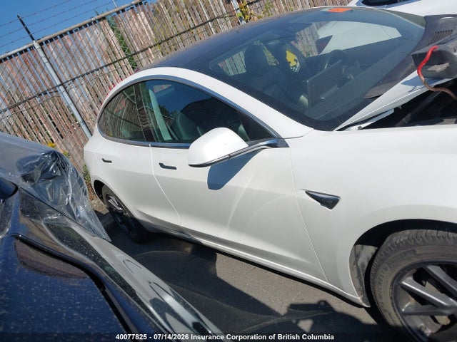 40077825 :رقم المزاد ، 5YJ3E1EA7KF321902 vin ، 2019 Tesla Model 3 مزاد بيع
