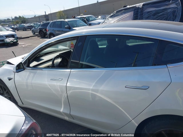 40077825 :رقم المزاد ، 5YJ3E1EA7KF321902 vin ، 2019 Tesla Model 3 مزاد بيع