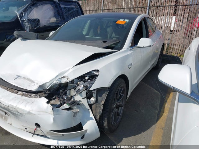 40077825 :رقم المزاد ، 5YJ3E1EA7KF321902 vin ، 2019 Tesla Model 3 مزاد بيع