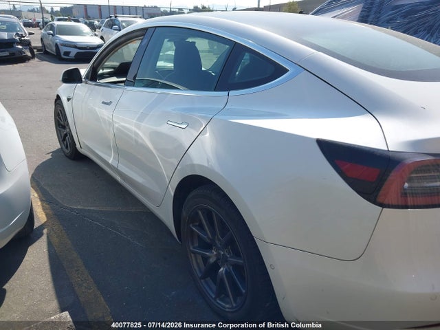 40077825 :رقم المزاد ، 5YJ3E1EA7KF321902 vin ، 2019 Tesla Model 3 مزاد بيع